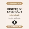 Projeto de Extensão I de Administração pronto para download