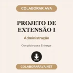 Portfolio Individual Projeto de Extensão I Administração