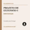 Projeto de Extensão I de Administração pronto para download