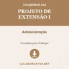 Projeto de Extensão I de Administração pronto para download