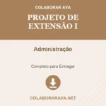 Projeto de Extensão I Administração