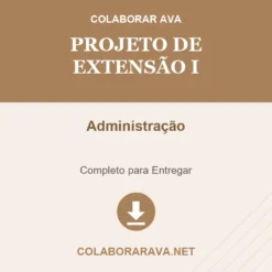 Projeto de Extensão I de Administração pronto para download