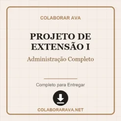 Projeto de Extensão I de Administração Completo pronto para download