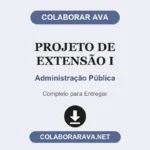 Projeto de Extensão I Administração Pública