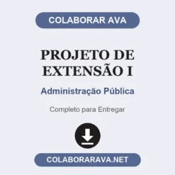 Projeto de Extensão I de Administração Pública pronto para entregar
