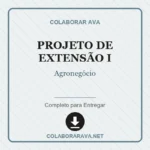 Projeto de extensão I Agronegócio