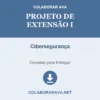 Projeto de Extensão I de Cibersegurança pronto para download