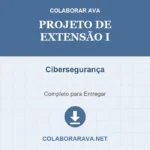 PROJETO DE EXTENSÃO I - CIBERSEGURANÇA