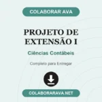 Portfólio Individual Projeto de extensão I Ciências Contábeis