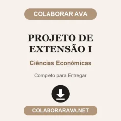 Projeto de Extensão I de Ciências Econômicas pronto para entregar