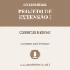 Projeto de Extensão I de Comércio Exterior pronto para download