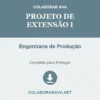 Projeto de Extensão I de Engenharia de Produção pronto para download
