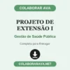 Projeto de Extensão I de Gestão de Saúde Pública pronto para entregar