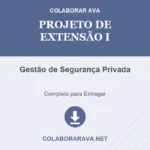 Projeto de extensão I Gestão de Segurança Privada