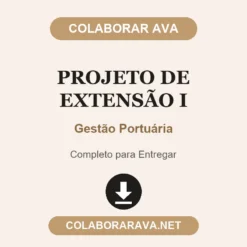 Projeto de Extensão I de Gestão Portuária pronto para entregar