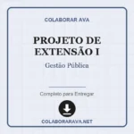 Portfólio individual - Projeto de Extensão I – Gestão Pública