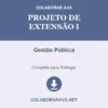 Projeto de Extensão I de Gestão Pública pronto para download