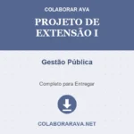Projeto de extensão I Gestão Pública