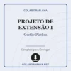 Projeto de Extensão I de Gestão Pública pronto para download