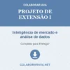 Projeto de Extensão I de Inteligência de mercado e análise de dados pronto para download