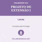 Portfólio Individual Projeto de Extensão I Letras
