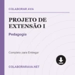 Portfolio Individual Projeto de Extensão I - Pedagogia