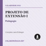 Portfólio Individual Projeto de extensão I Pedagogia