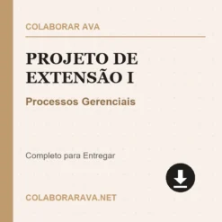 Projeto de Extensão I de Processos Gerenciais pronto para download