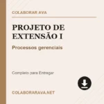 Portfolio Individual Projeto de Extensão I Processos gerenciais