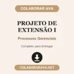 Projeto de Extensão I - Processos Gerenciais