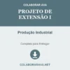 Projeto de Extensão I de Produção Industrial pronto para download