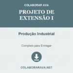 Portfolio Individual Projeto de Extensão I Produção Industrial