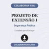 Projeto de Extensão I de Segurança Pública pronto para download