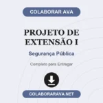 Projeto de Extensão I Segurança Pública