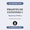 Projeto de Extensão I de Segurança Pública pronto para download