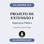 Projeto de Extensão I Segurança Pública