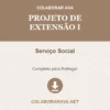 Projeto de Extensão I de Serviço Social pronto para download