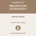 Projeto de Extensão I Serviço Social