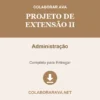 Projeto de Extensão II de Administração pronto para download