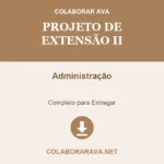 Portfólio Individual Projeto de Extensão II Administração