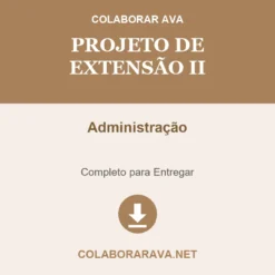 Projeto de Extensão II de Administração pronto para download