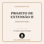 Portfólio Individual Projeto de Extensão II Administração