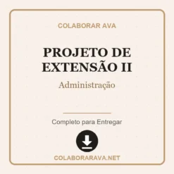 Projeto de Extensão II de Administração pronto para download