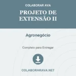 Projeto de Extensão II Agronegócio