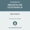 Projeto de Extensão II de Agronegócio pronto para download