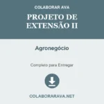 Portfólio Individual Projeto de Extensão II Agronegócio