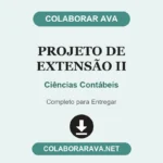 Portfólio Individual Projeto de Extensão II Ciências Contábeis