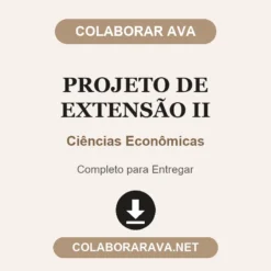 Projeto de Extensão II de Ciências Econômicas pronto para entregar