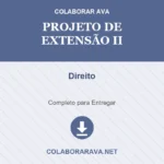 Portfólio Individual Projeto de Extensão II Direito