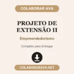 Projeto de Extensão II Empreendedorismo